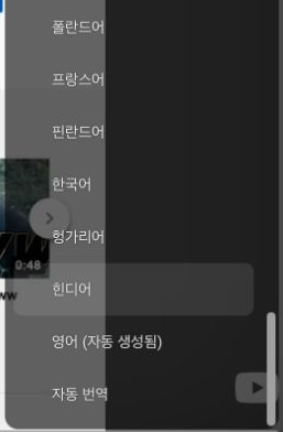 YouTube 자막 메뉴의 자동 번역 항목