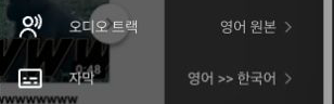 YouTube 자막 설정에 표시된 영어에서 한국어 번역