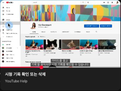 YouTube 소형 플레이어에 남은 영상과 제목