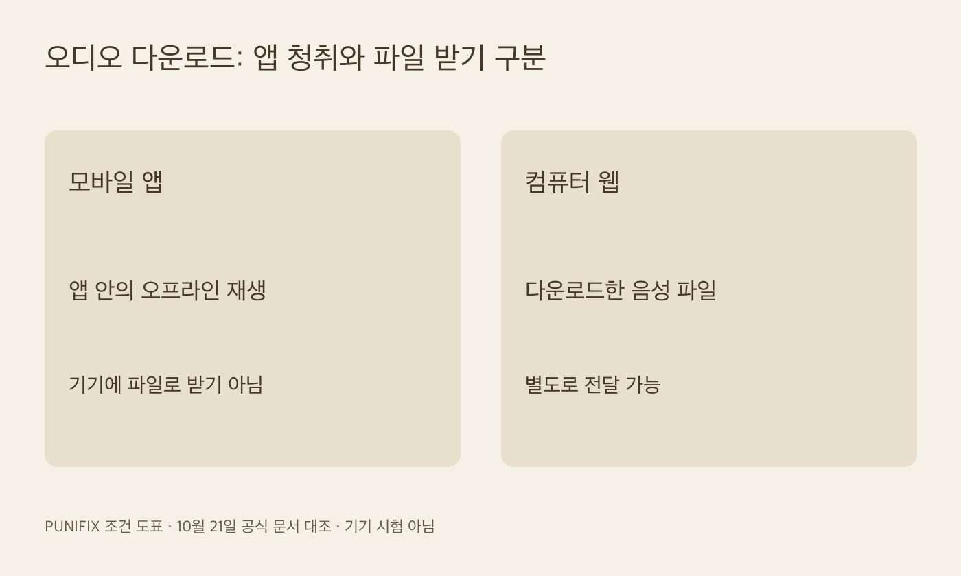 앱 안의 오프라인 오디오 청취와 컴퓨터 웹에서 음성 파일 받기를 구분한 도표